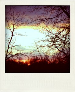 A winter sunset (Lexington, KY)