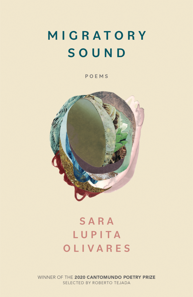 Cover image of MIGRATORY SOUND by Sara Lupita Olivares
