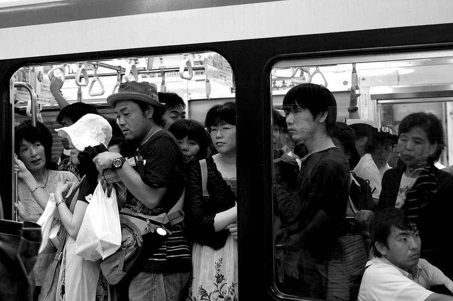 Sardines
