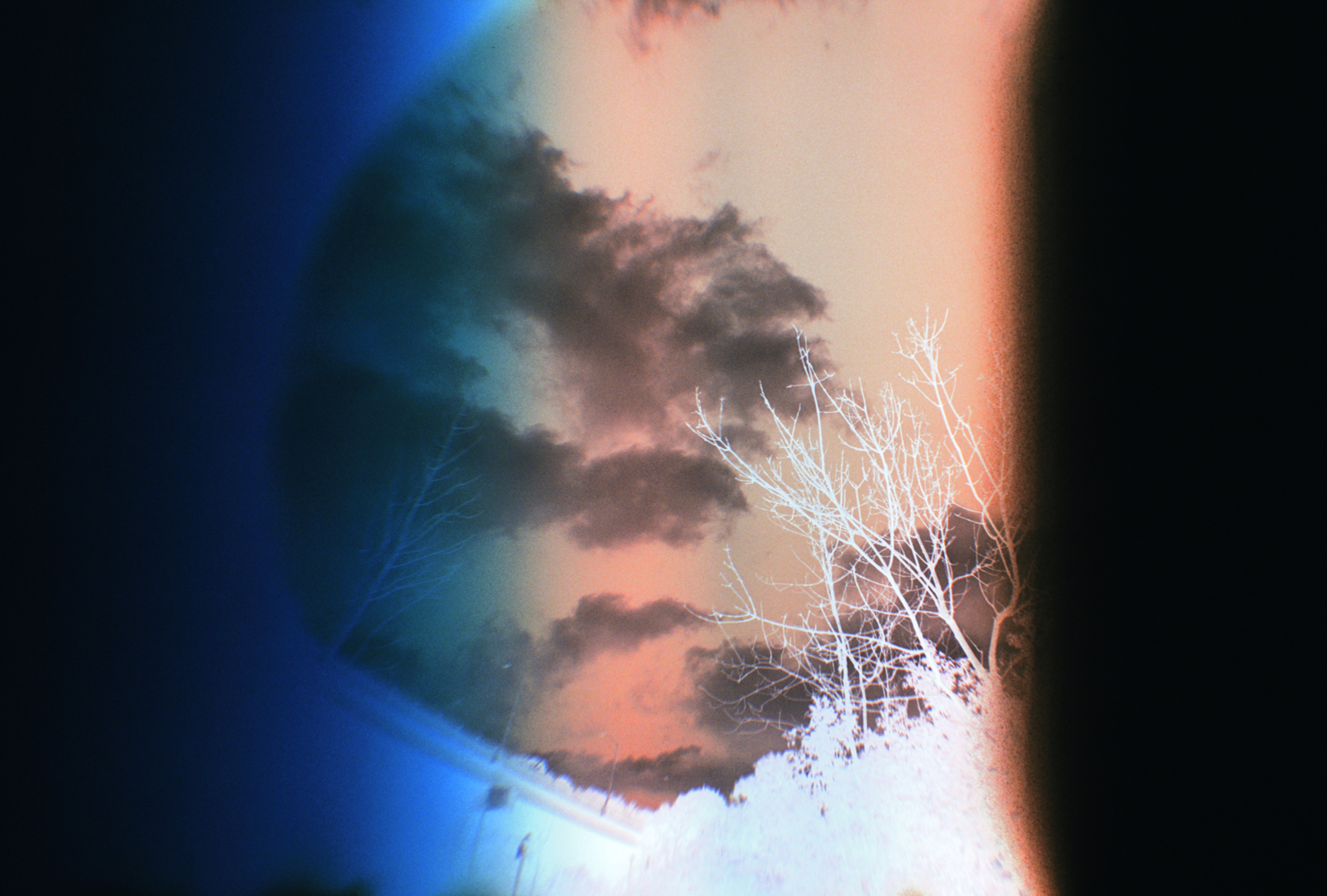 CEDARVALE RAVINE NO. 13 by Leah Oates